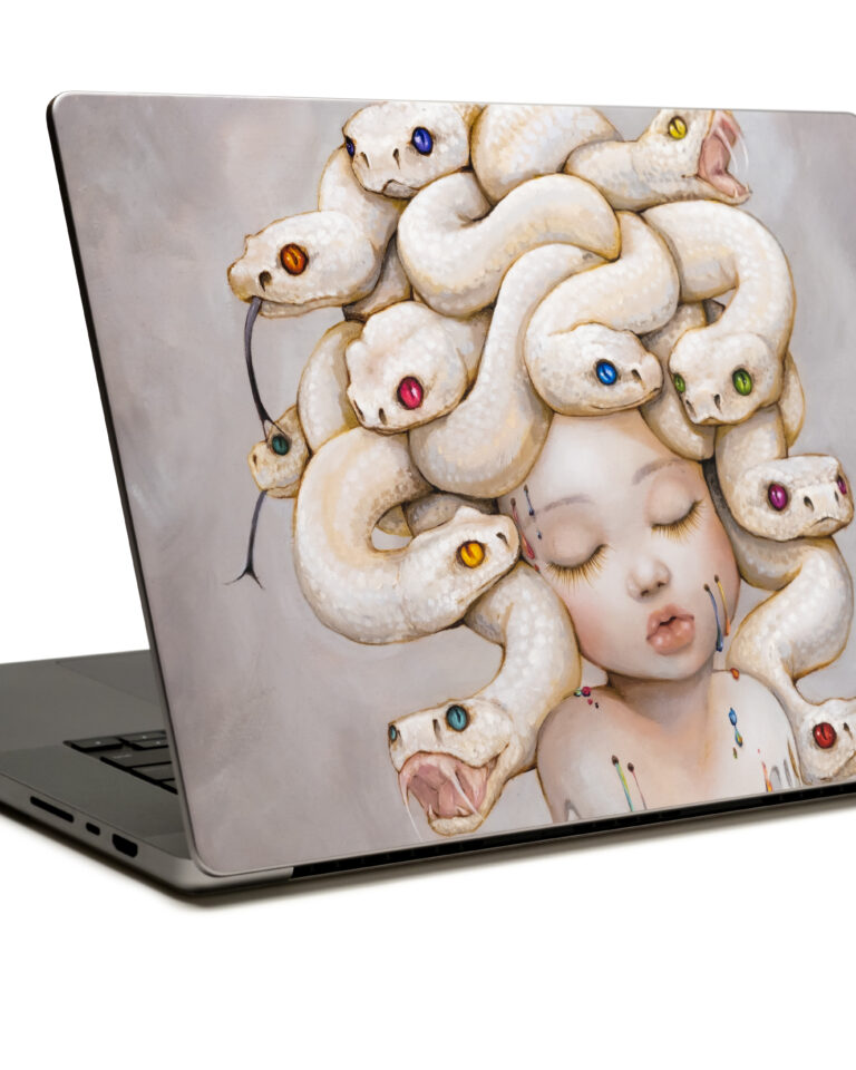 GelaSkins project image