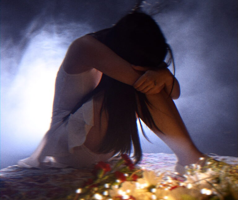 Blossom project image