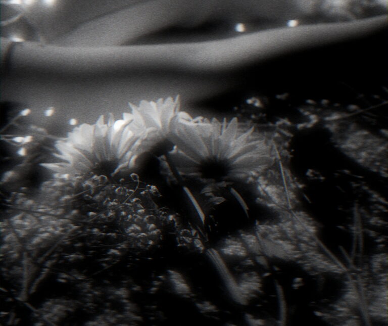 Blossom project image