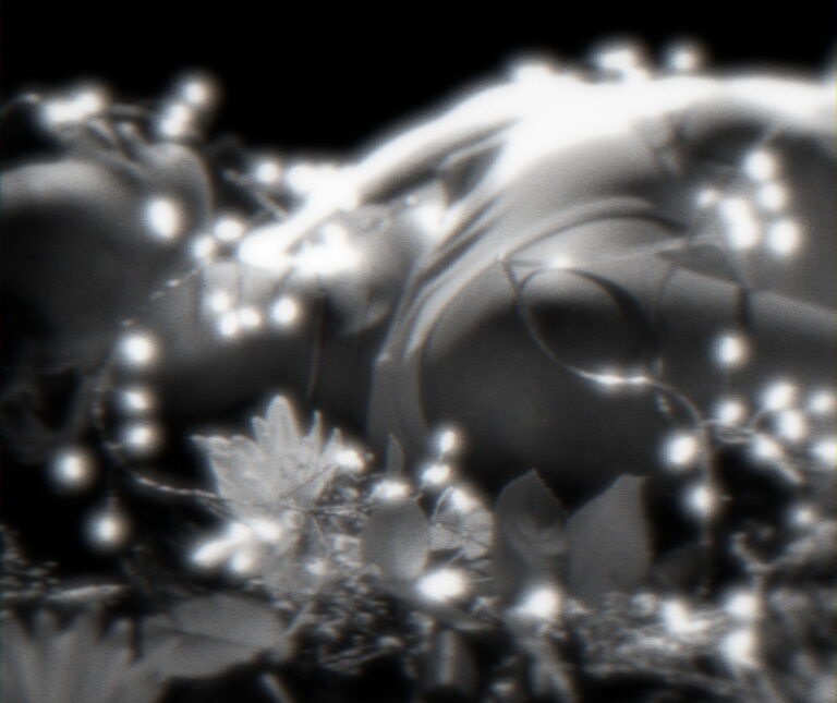 Blossom project image